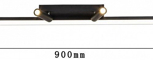 Потолочный светодиодный светильник Favourite Reticenza 4089-2C