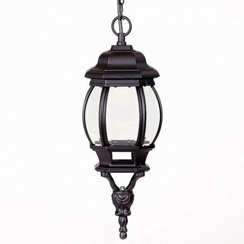 Уличный светильник подвесной Oasis Light 83405S Bl