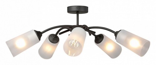 Потолочная люстра Vitaluce V2850-1/5PL