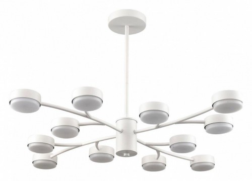 Потолочная люстра Lumion Torina 8265/12