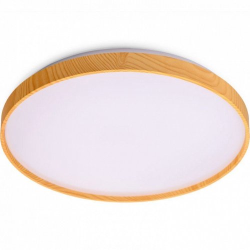 Накладной светильник Luminarte Starwood CLL47 Накладной светильник Luminarte Starwood CLL47