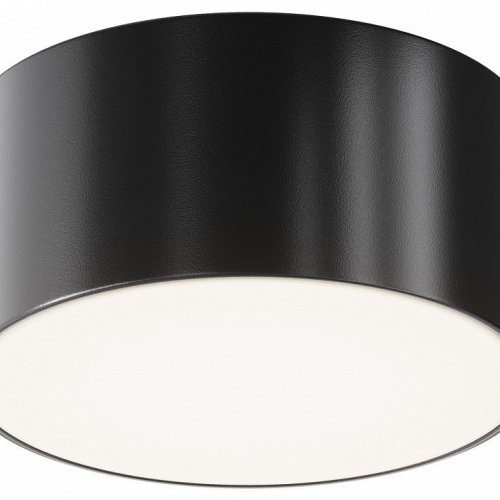 Потолочный светильник уличный Maytoni Zon IP O430CL-L15B4K