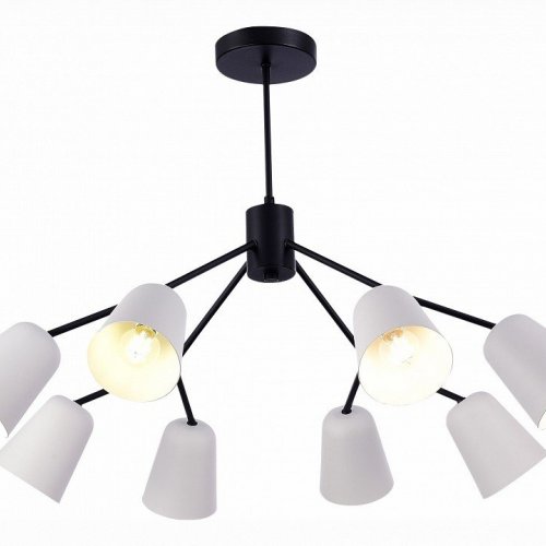 Потолочная люстра Evoluce MARIO SLE155942-08 Потолочная люстра Evoluce MARIO SLE155942-08