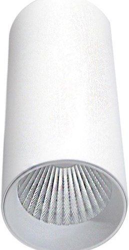 Точечный светильник Donolux Rollo DL18895R20W1W Точечный светильник Donolux Rollo DL18895R20W1W