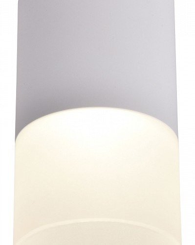 Потолочный светодиодный светильник Favourite Naram 3069-1C