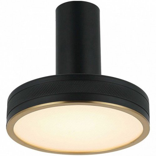 Настенно-потолочный светильник Tendas 4025/02/01CW Настенно-потолочный светильник Tendas 4025/02/01CW