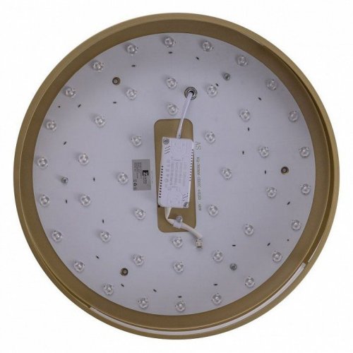 Потолочный светильник Zortes Gabby ZRS.90610.40