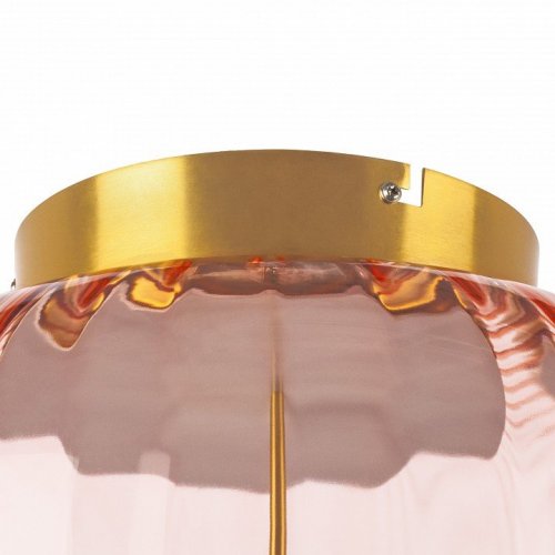 Накладной светильник Lightstar Celesta 809062 Накладной светильник Lightstar Celesta 809062