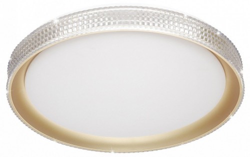 Настенно-потолочный светильник Sonex Shiny 3054/DL