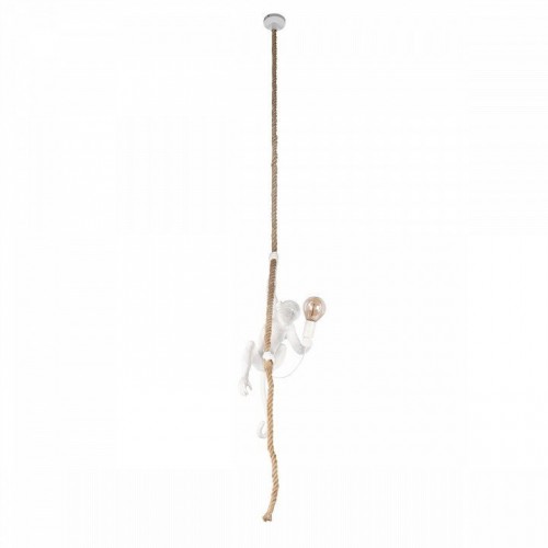 Подвесной светильник Loft IT Monkey 10314P
