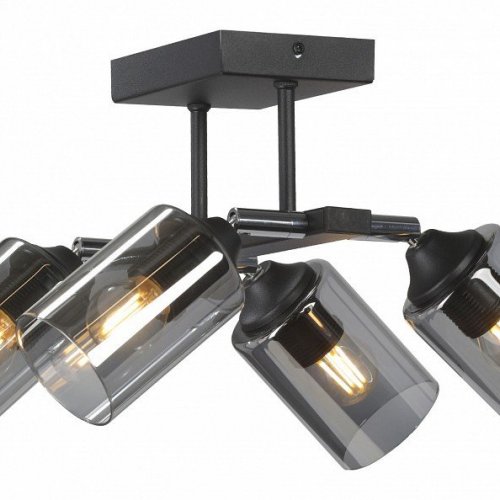 Потолочная люстра Vitaluce V2833-1/4PL