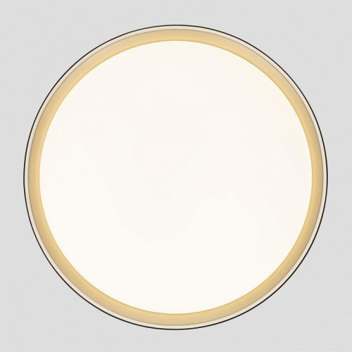 Накладной светильник Citilux BOSS CL751451G