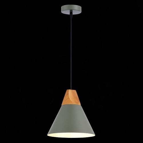 Подвесной светильник Evoluce MODICA SLE125113-01