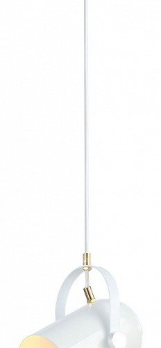 Подвесной светильник Ambrella light TRADITIONAL TR8205