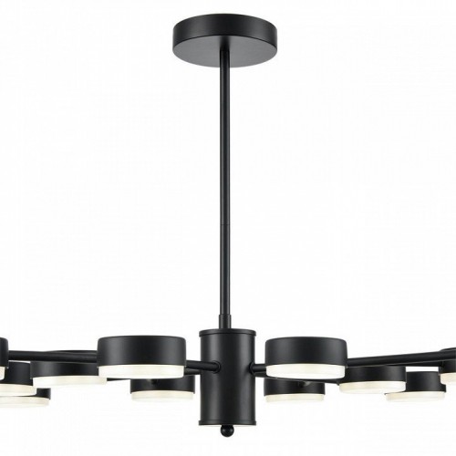 Потолочная люстра Lumion Torina 8117/12