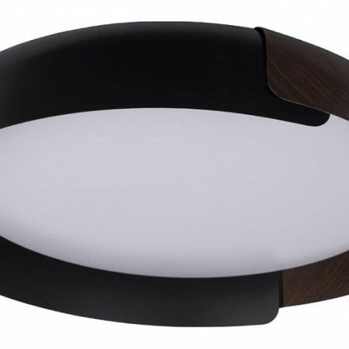 Потолочный светильник Loft IT Coin 10198 Black