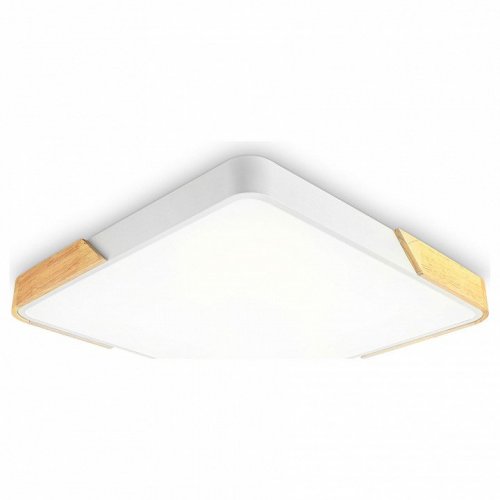 Потолочный светильник Ambrella light ORBITAL FZ1312