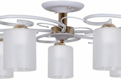 Потолочная люстра 00738-0.3-05 Потолочная люстра 00738-0.3-05