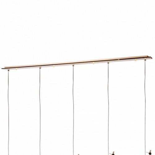 Подвесной светильник Lightstar Extra L5PL721132