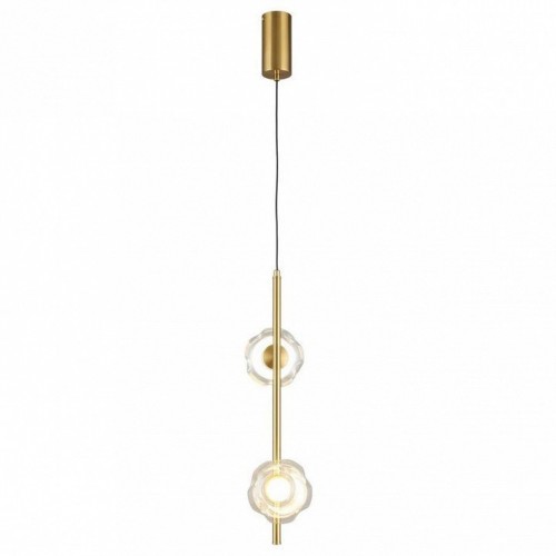 Подвесной светильник Aployt Tereze APL.074.06.02
