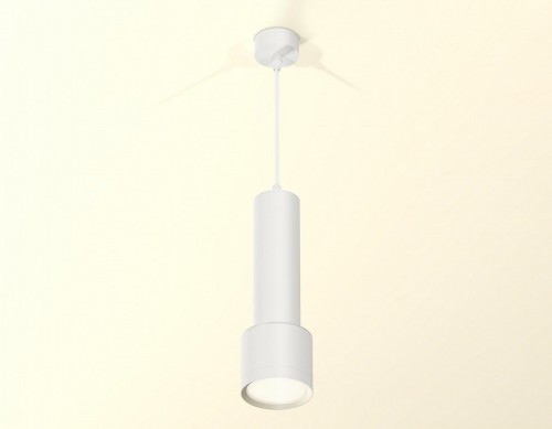 Подвесной светильник Ambrella light Techno Spot XP8110001