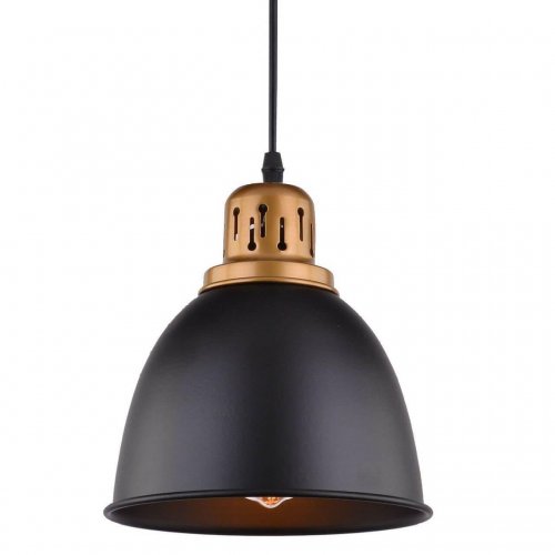 Подвесной светильник Arte Lamp Eurica A4245SP-1BK Подвесной светильник Arte Lamp Eurica A4245SP-1BK
