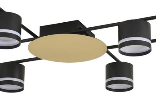 Потолочная люстра Lumion Benua 8304/6C