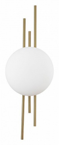 Накладной светильник Indigo Astro 14007/1W Brass Накладной светильник Indigo Astro 14007/1W Brass