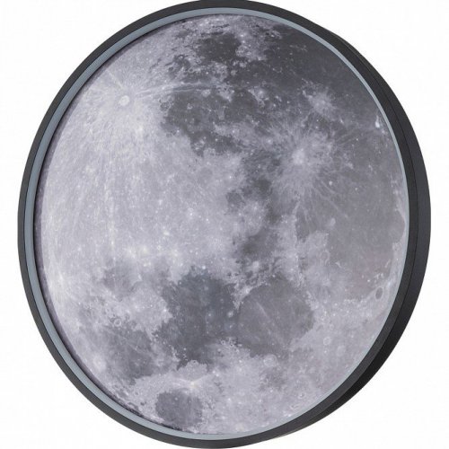 Настенно-потолочный светодиодный светильник Escada Planet 10226/SG LED Moon