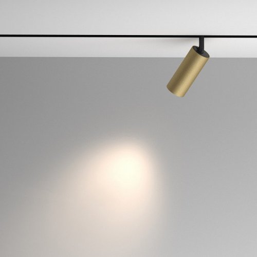 Трековый светильник Artisan TR097-2-12W4K-M-BMG