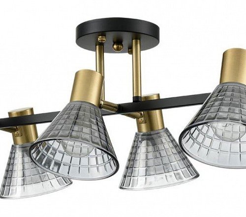 Потолочная люстра Lumion Anriya 8044/6C