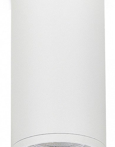 Накладной светильник Donel DN02 DN02016R1W Накладной светильник Donel DN02 DN02016R1W