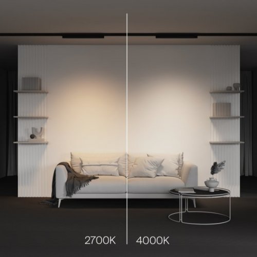 Трековый светильник Maytoni Basis TR196-3-20W2.7K-B