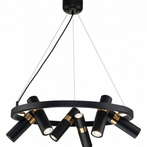 Подвесная люстра Favourite Light Point 2997-6P