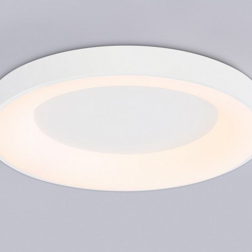 Потолочный светодиодный светильник Ambrella light Orbital Design FZ1401