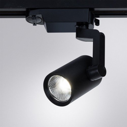 Потолочный светильник Arte Lamp 2310 A2310PL-1BK