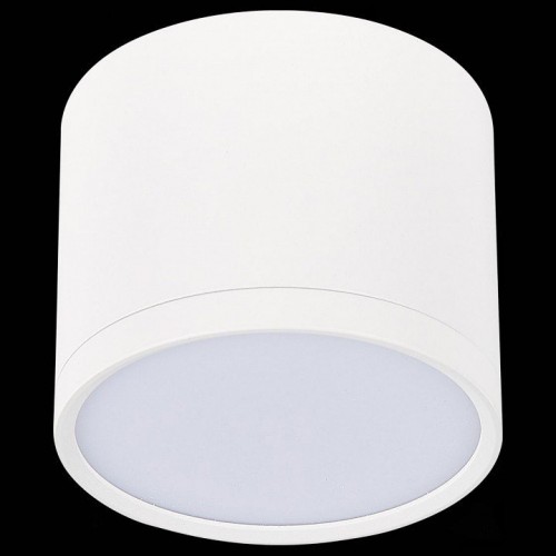 Накладной светильник ST Luce Rene ST113.532.09 Накладной светильник ST Luce Rene ST113.532.09