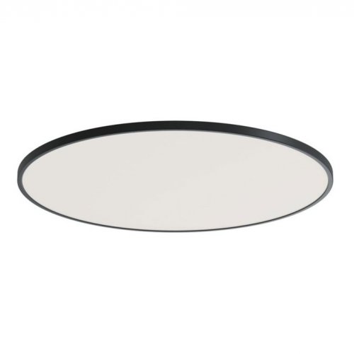 Потолочный светильник Disco DL20171R24W1B