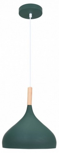 Подвесной светильник Moderli Eline V11446-1P