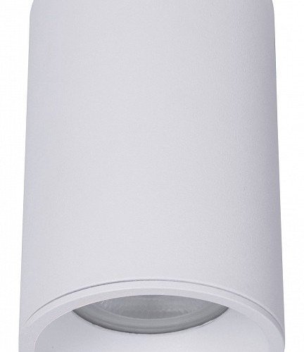 Потолочный светильник Maytoni Technical Zoom C029CL-01-S-W