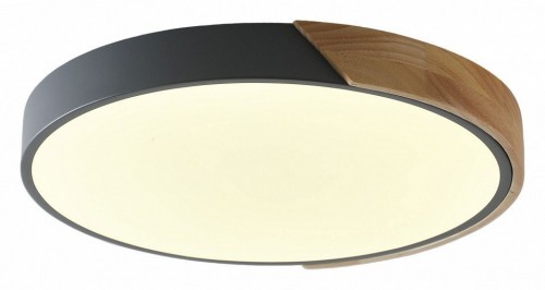 Потолочный светильник Zortes Alberro ZRS.01280.90