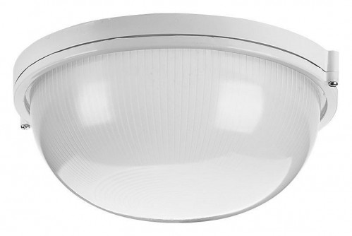 Накладной светильник Wolta  ДПБ03-100-001