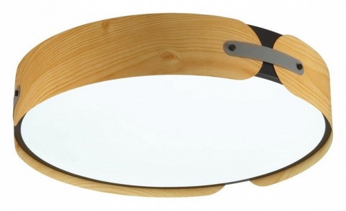 Потолочный светильник Sonex Coraggio 7721/100L