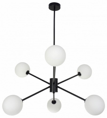 Потолочная люстра Zortes Ragy ZRS.1883.6