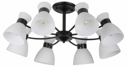 Потолочная люстра Aemilia 9185-308