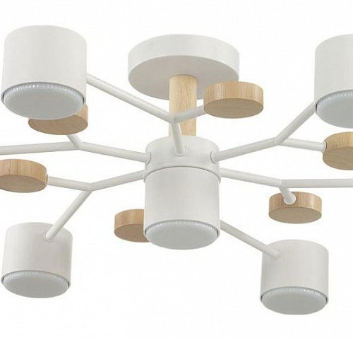 Потолочная люстра Lumion Rondo 8195/7C