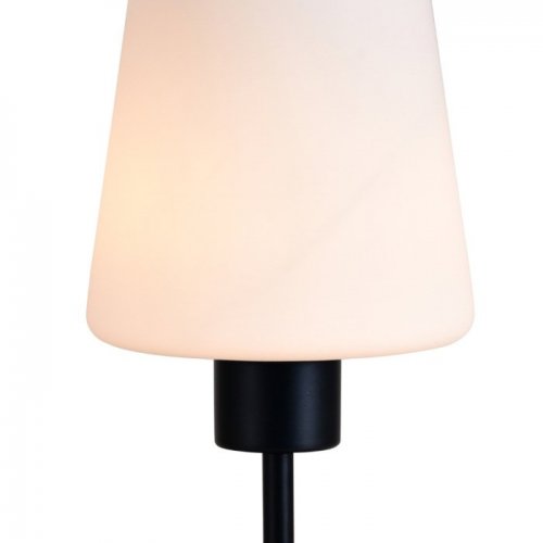 Интерьерная настольная лампа Clarity ES0002707 Интерьерная настольная лампа Clarity ES0002707