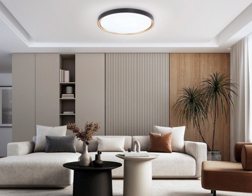 Потолочный светодиодный светильник Ambrella light Orbital Air FZ1249