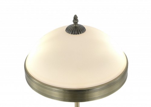 Интерьерная настольная лампа MyFar Biene MR2522-2T