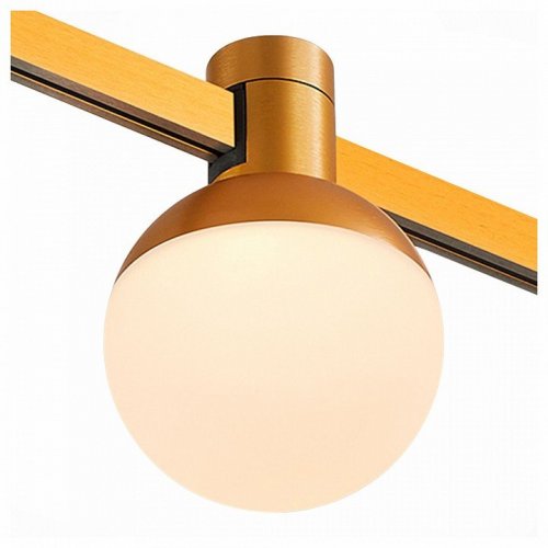 Трековый светильник ST Luce Farm ST815.246.05